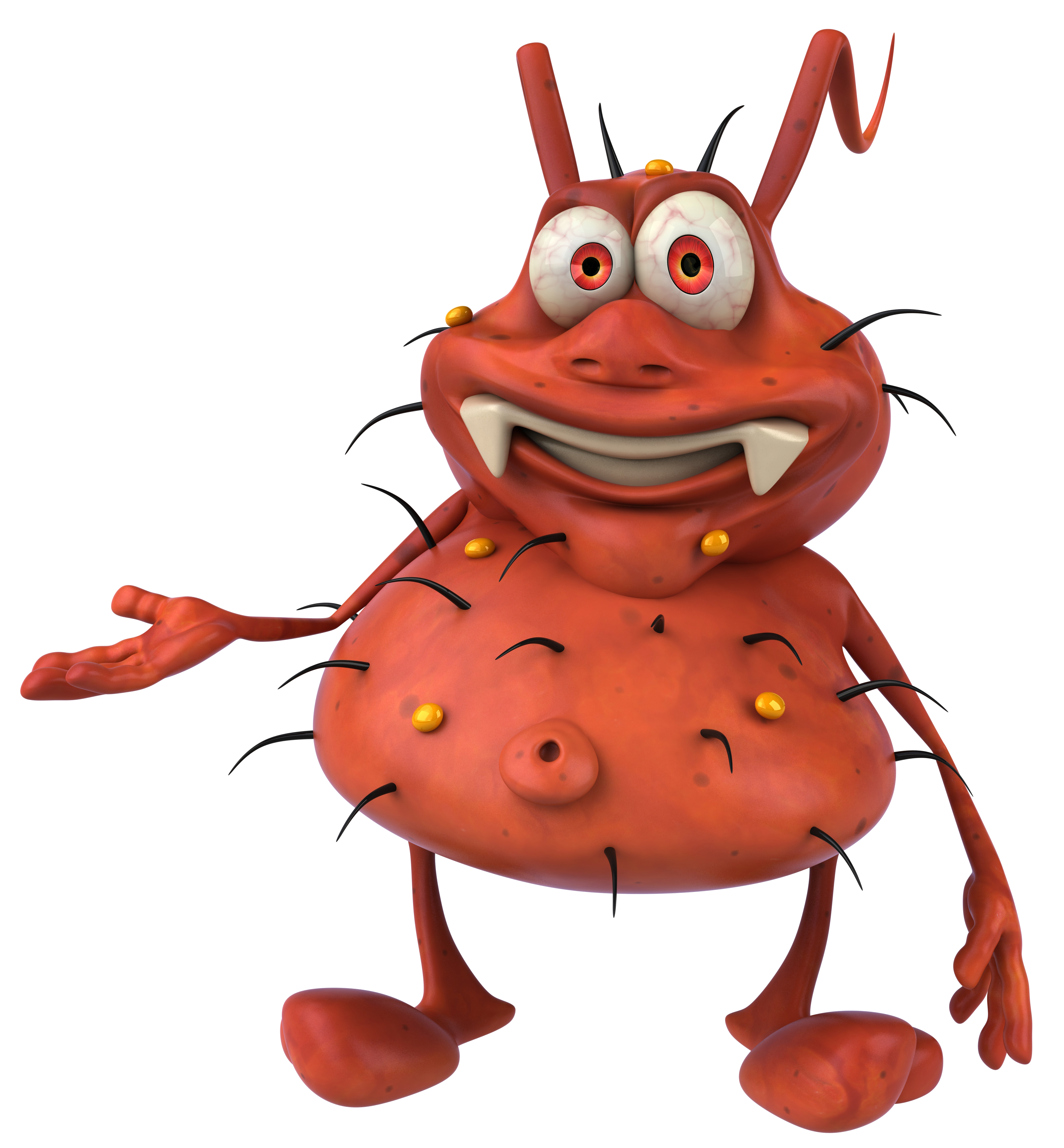 Spoily